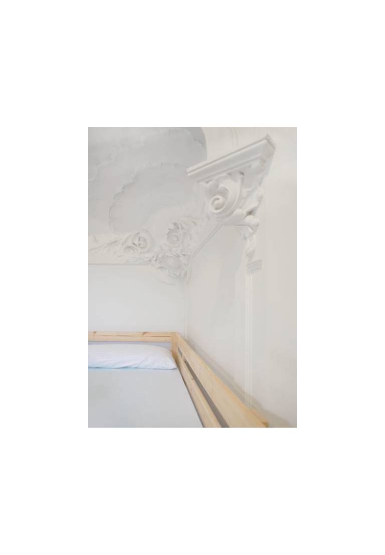 Black Swan Hostel 