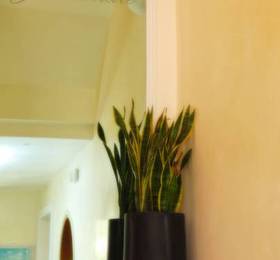 Отдых в Hotel Grottamare  - Италия, Лидо ди Езоло