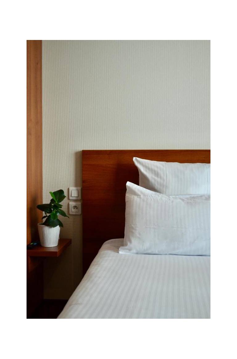 Hotel Lyon-ouest