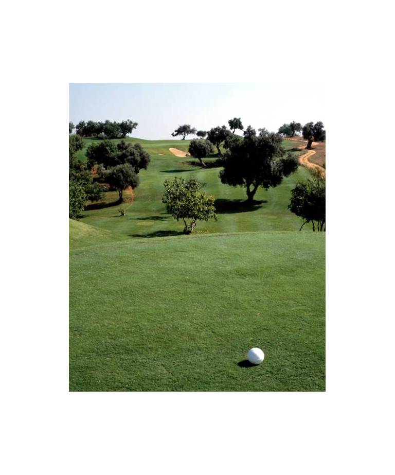 Luna Villa Alba 