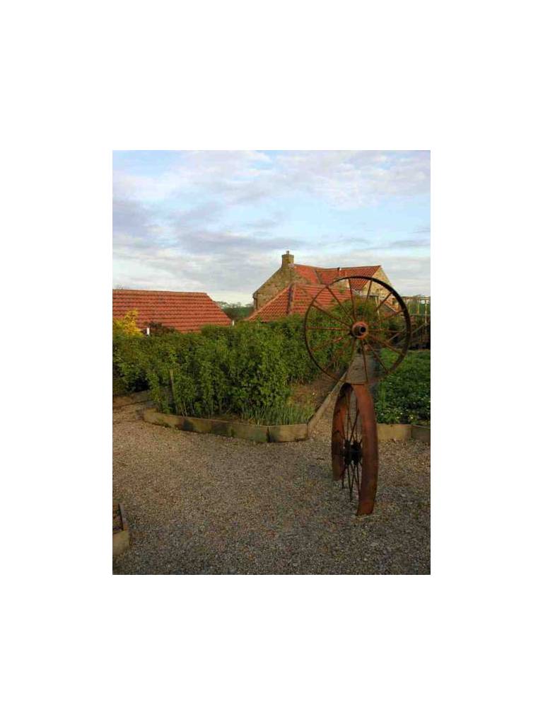 Clow Beck House 