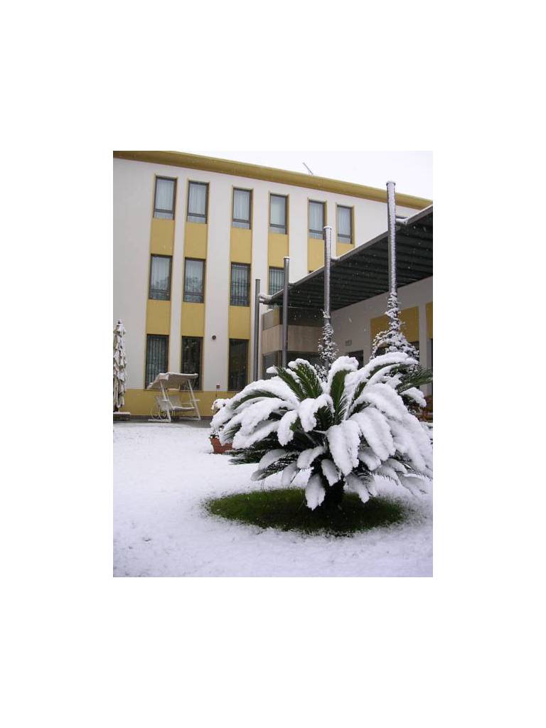 Hotel Spinelli 