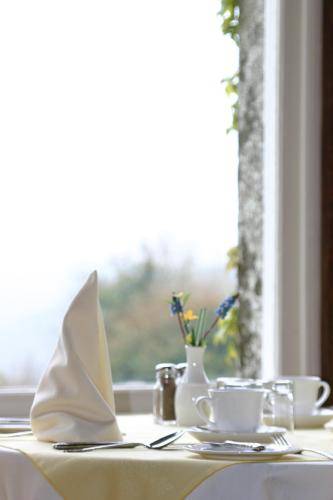Tredethy House  4* Великобритания, Бодмин