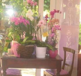 Hotel Sympathy  в Римини