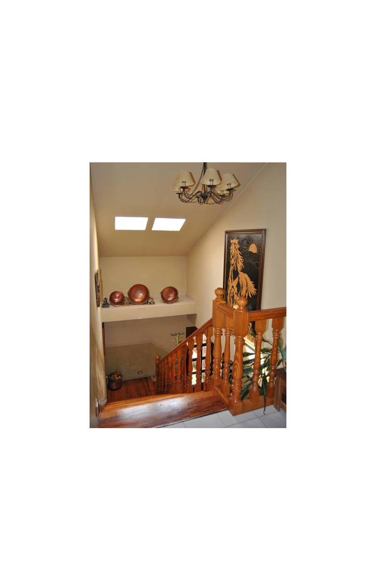 Hotel Avelina 