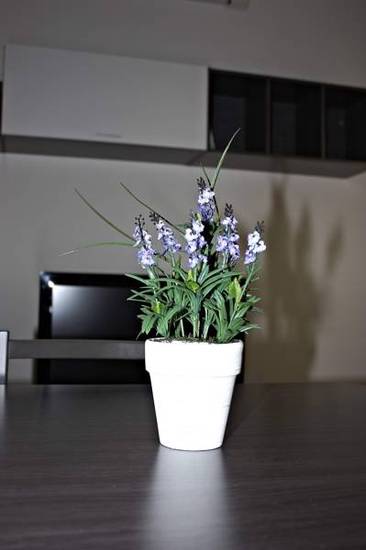 Suites Gracia Испания, Барселона