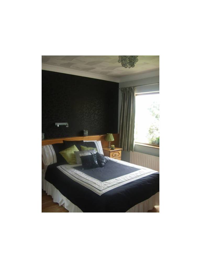 The Harp B&B 