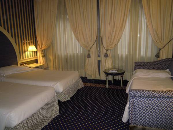 Hotel Auriga  4*