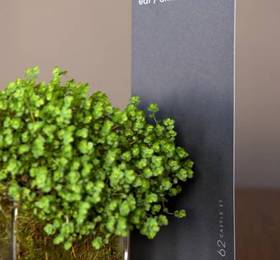 Отдых в 62 Castle St  - Великобритания, Ливерпуль