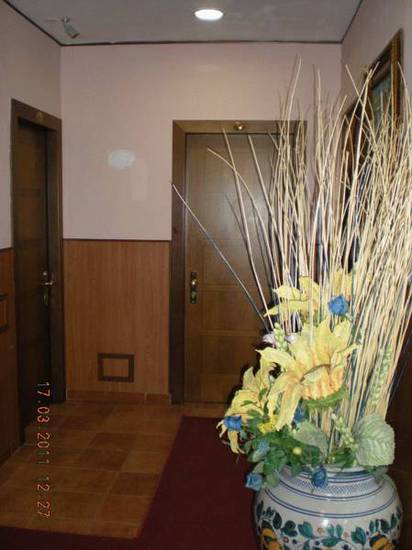 Hotel Mirti  2* Италия, Рим
