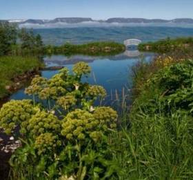 Hotel Natur  в Акурейри