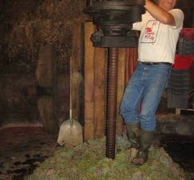 Отдых в Ami Chenin  - Франция, Сомюр