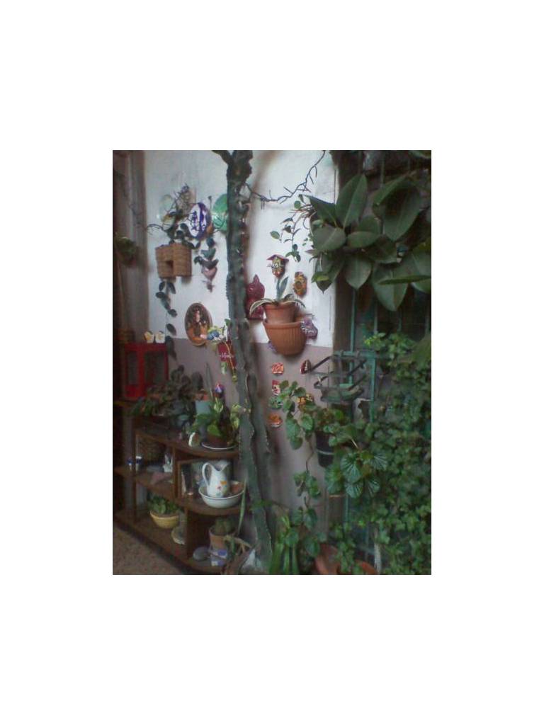 Hotel Mele 