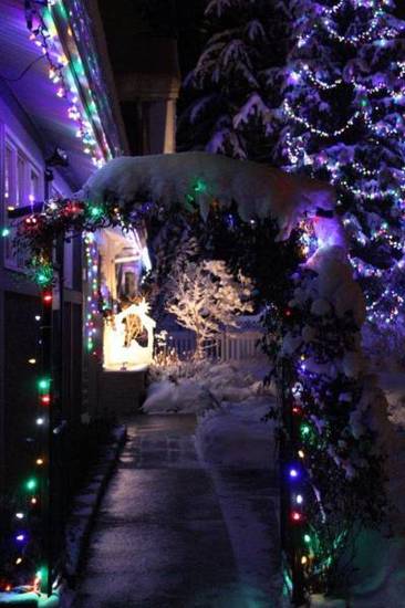 Alpenrose Revelstoke Bed & Breakfast  Канада, Ревелстоук