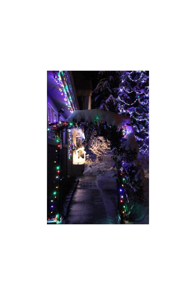 Alpenrose Revelstoke Bed & Breakfast 