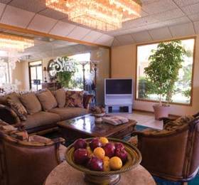 Отдых в The Garden Vista Hotel Palm Springs  - США, Палм-Спрингс