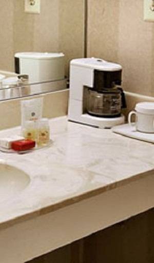 Ramada Augusta Conference Center  3* США, Августа