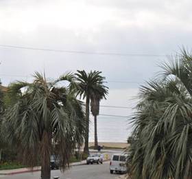 Туры в Pacific Crest Inn Santa Barbara  в США