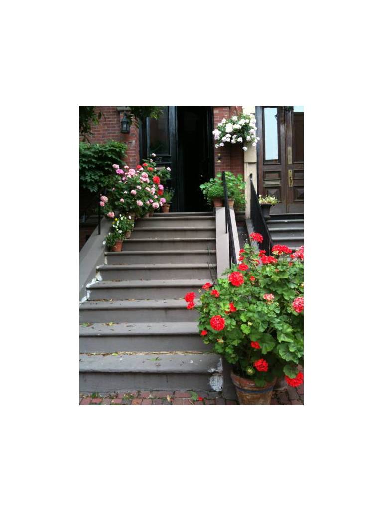 Beacon Hill Bed and Breakfast 