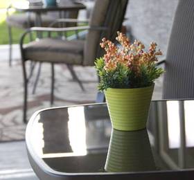 Mountain View Guest House B&B  в Калгари