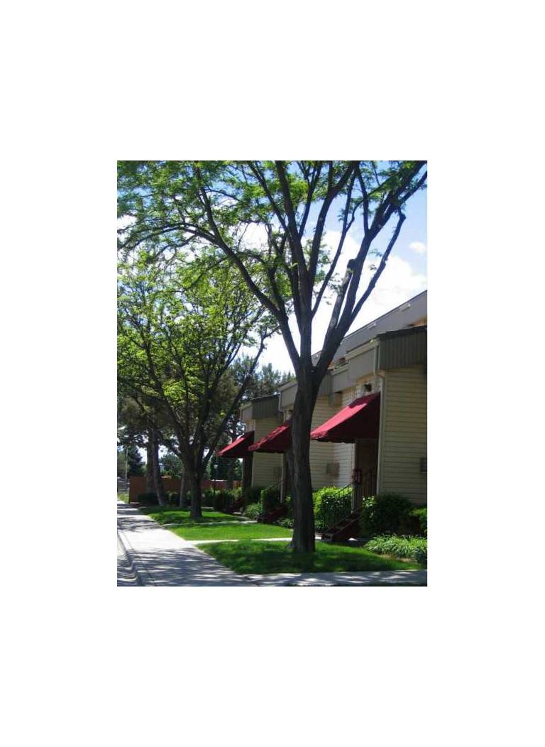 Bond Street Motel Apartments 