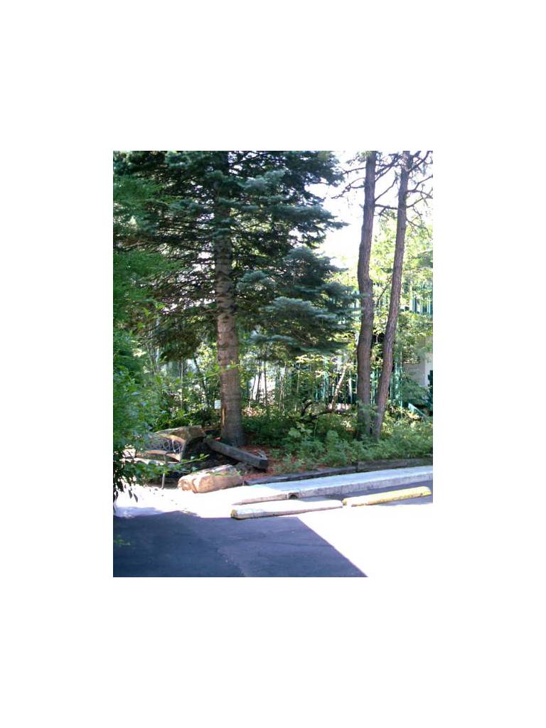 Apollo Park Executive Suites 
