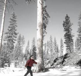 Mt. Bachelor Village Resort  в Бенде