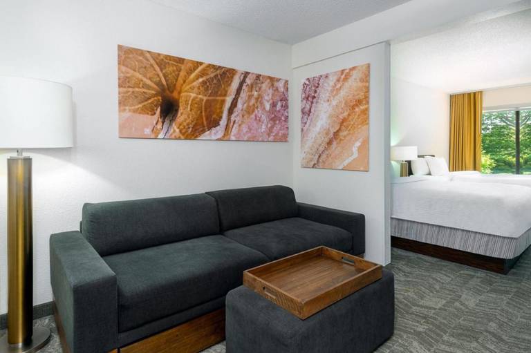 SpringHill Suites Asheville 