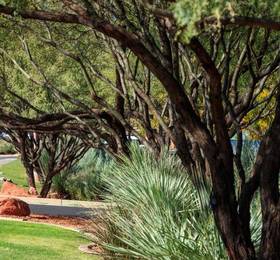 Отдых в Sedona Rouge Hotel and Spa  - США, Седона
