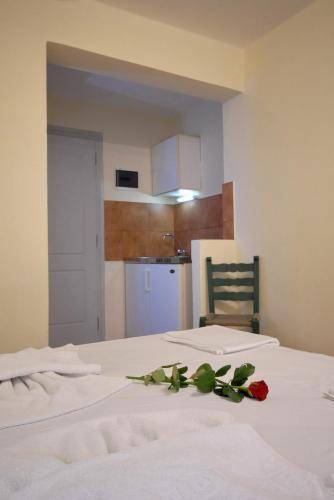 Jason Studios & Apartments  Греция, Наксос