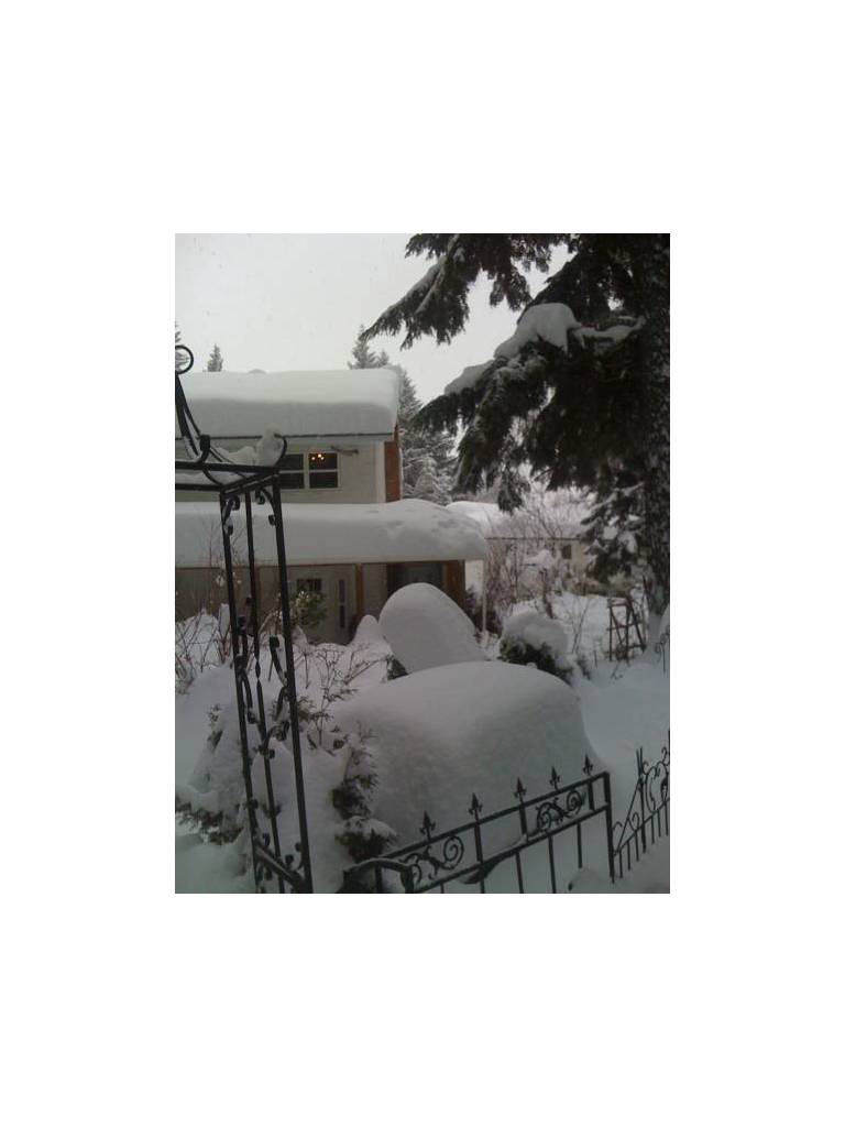 Guesthouse Mountain Escape 