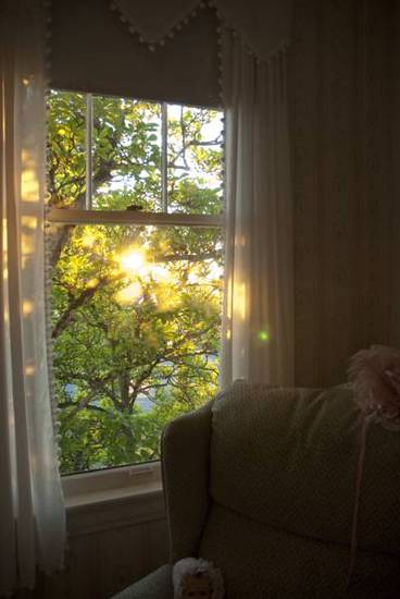 Bayside Bed and Breakfast  США, Эверетт
