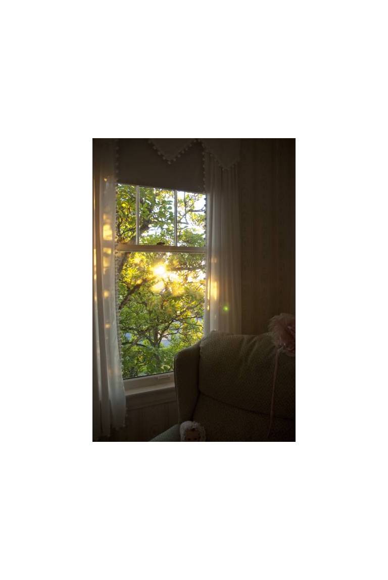 Bayside Bed and Breakfast 