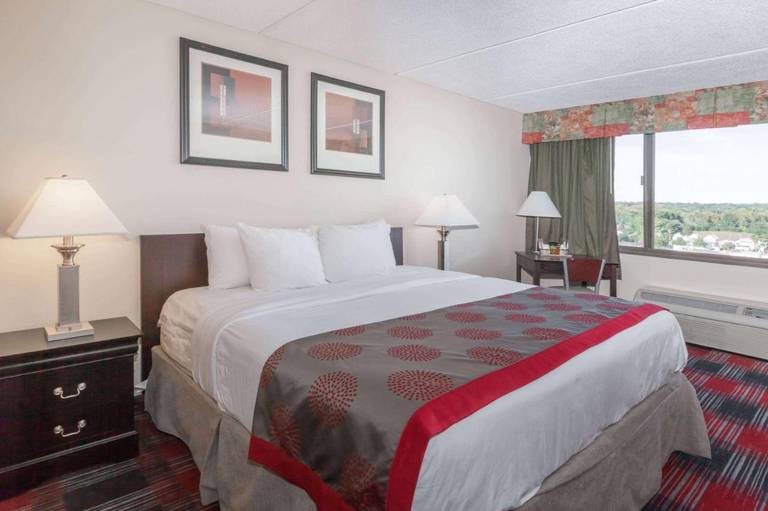 Albany Ramada Plaza Hotel 