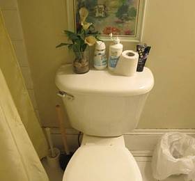 Comfy Guesthouse & Suite  в Торонто