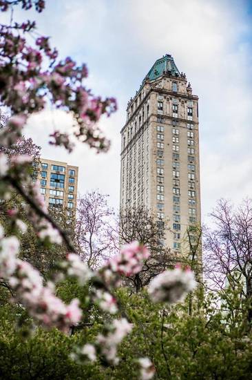 The Pierre 5* США, Нью-Йорк