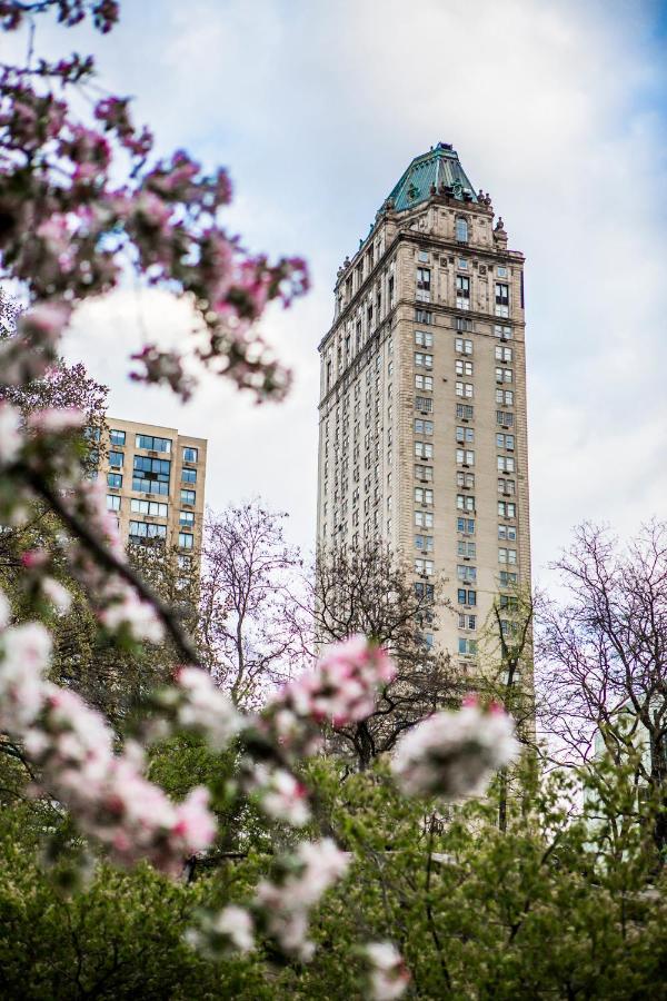 The Pierre 5*