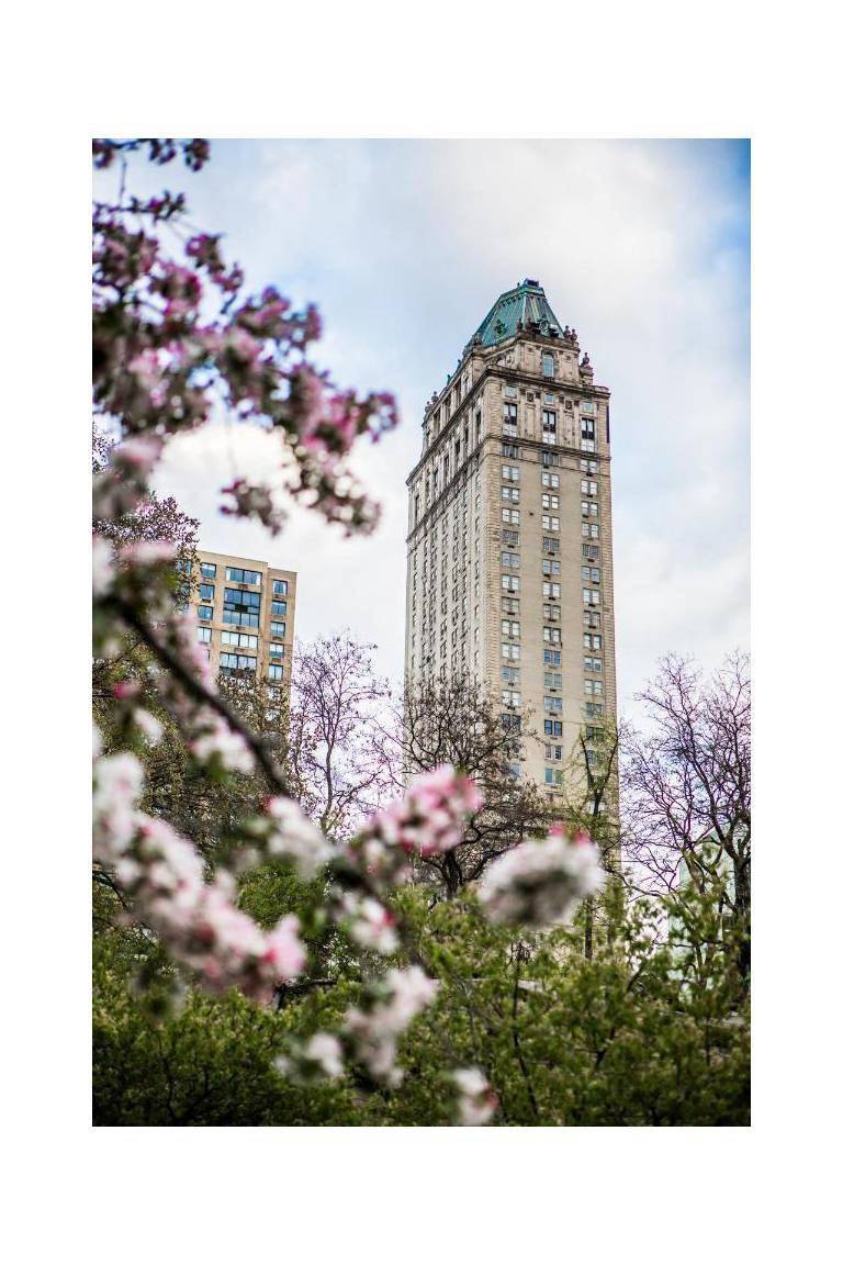 The Pierre