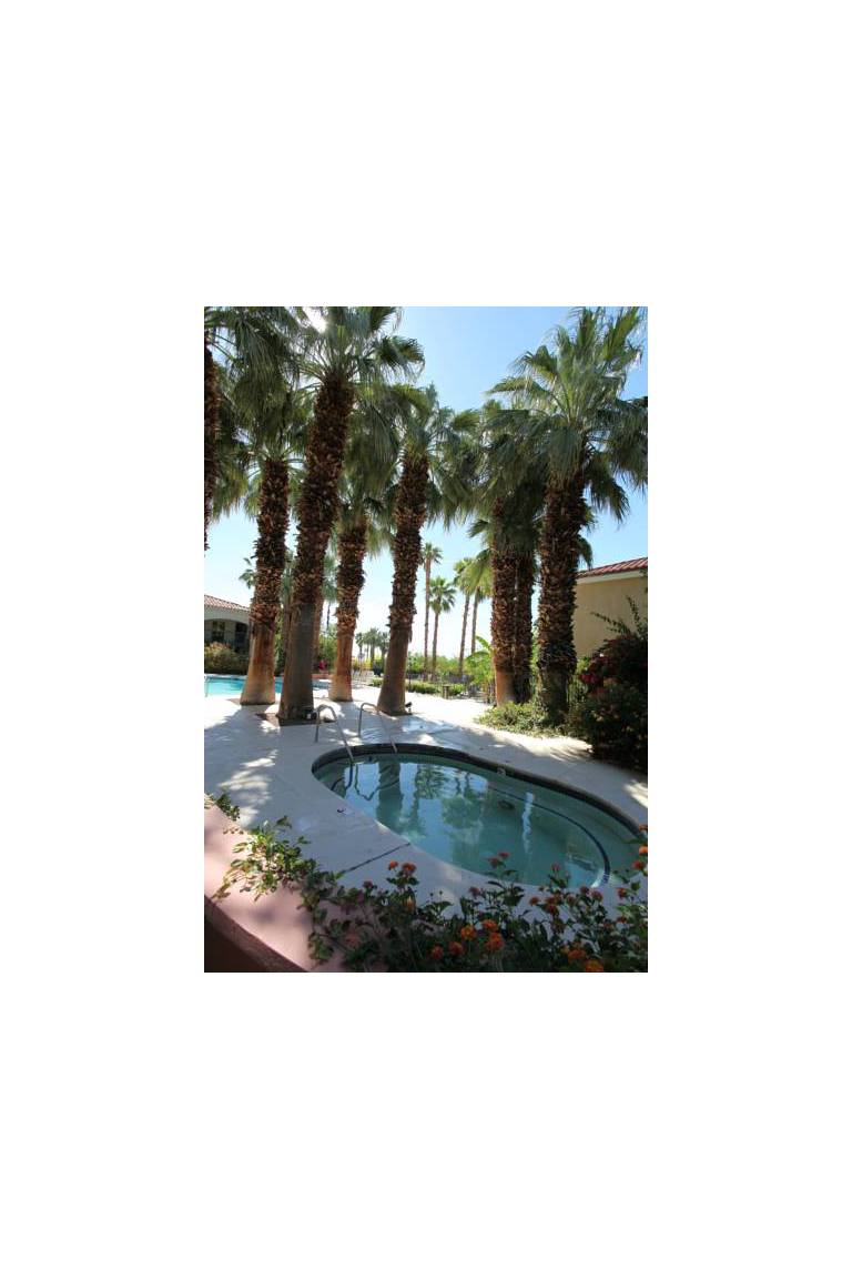 Ivy Palm Resort and Spa 
