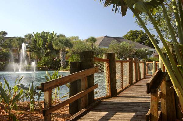 Wyndham Orlando Resort  4* США, Орландо