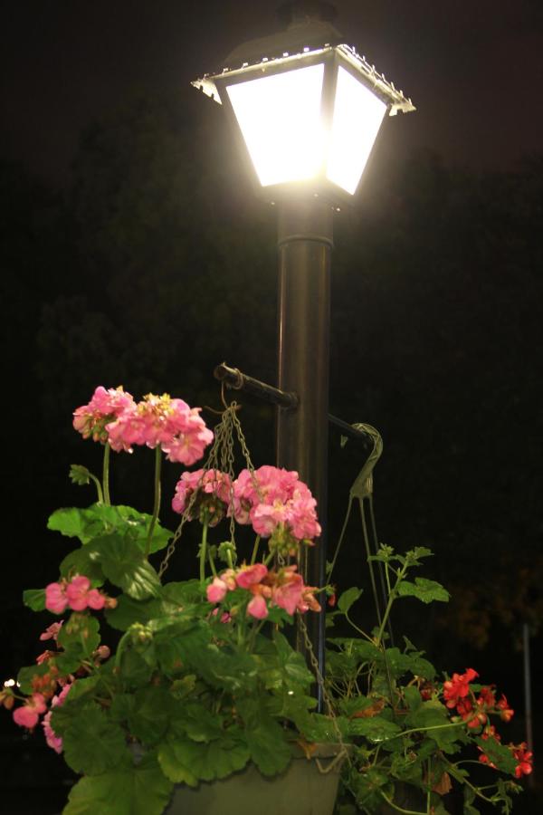 Caravelle Inn & Suites 