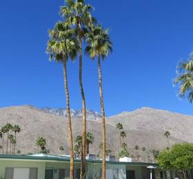 Туры в Twin Palms Resort в США