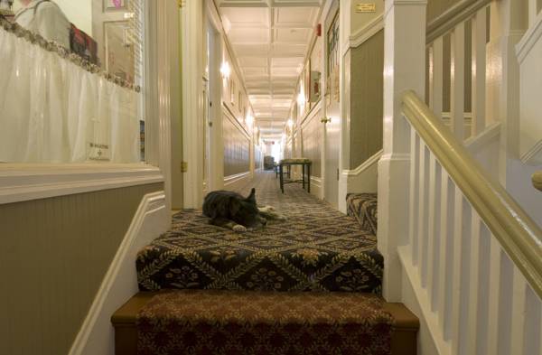 Hayes Valley Inn  2* США, Сан-Франциско