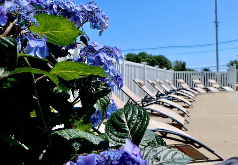 Sea View Motel 