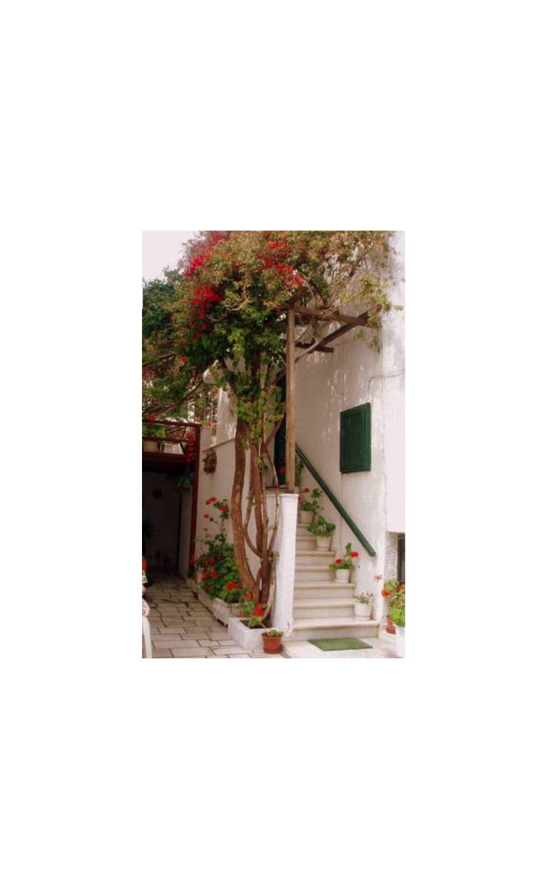 Syrianos Hotel 