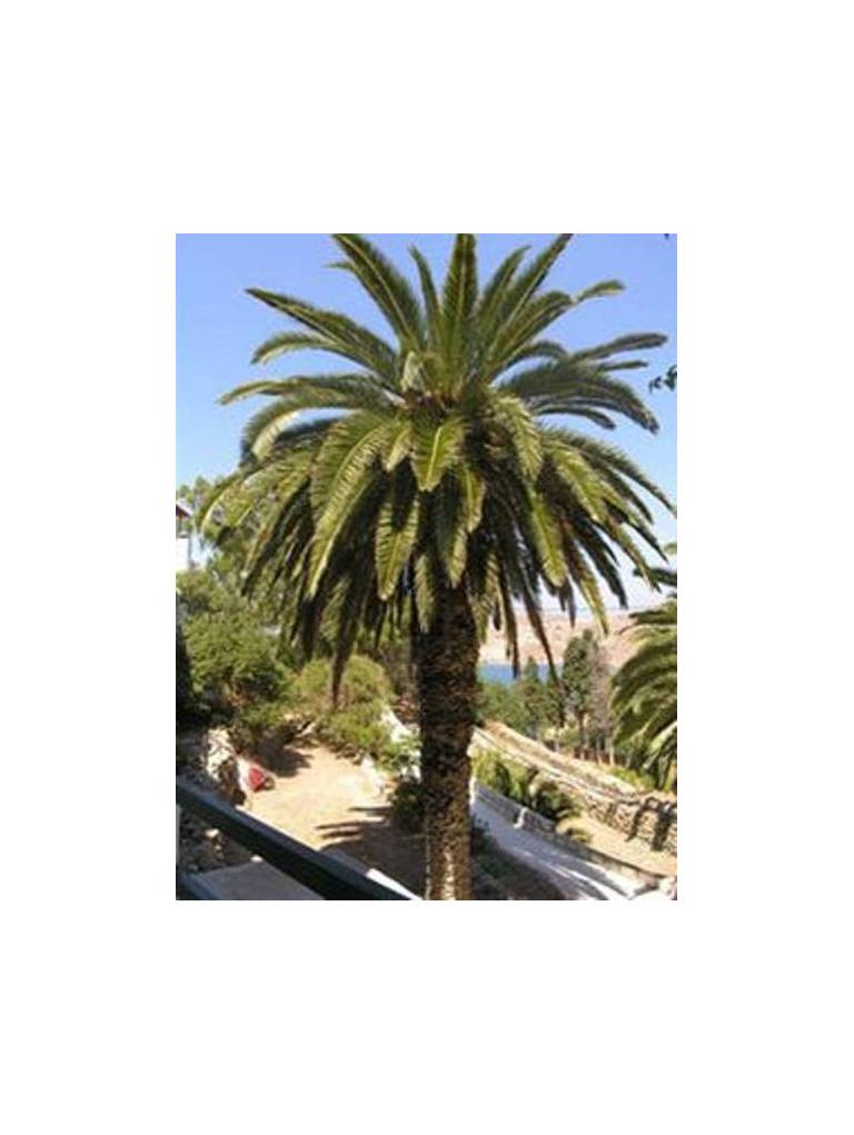 Finikas Hotel 
