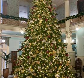 Отдых в Menger Hotel  - США, Сан-Антонио