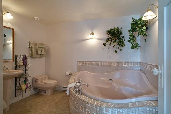 Amethyst Inn  3* Канада, Виктория