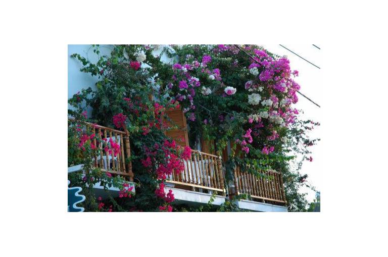 Arian Hotel 