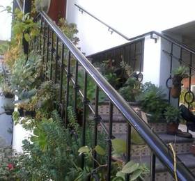 Отдых в Residencia Sofia Hotel Boutique  - Мексика, Керетаро